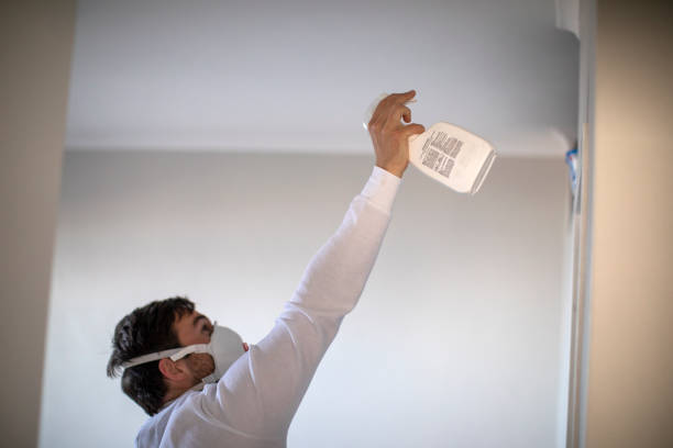 Best Mold Removal Near Me  in Juno Beach, FL